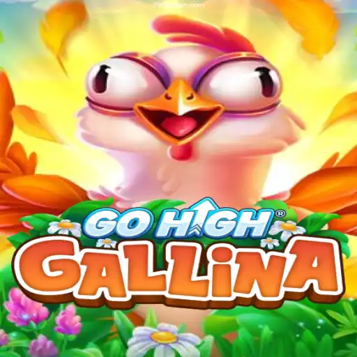 Explore the Thrilling World of GoHighGallina: A Top Choice for Casino Enthusiasts